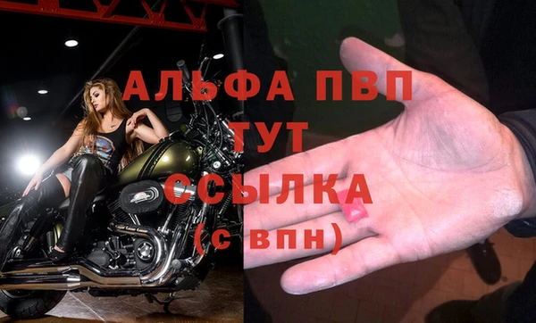 a pvp Долгопрудный
